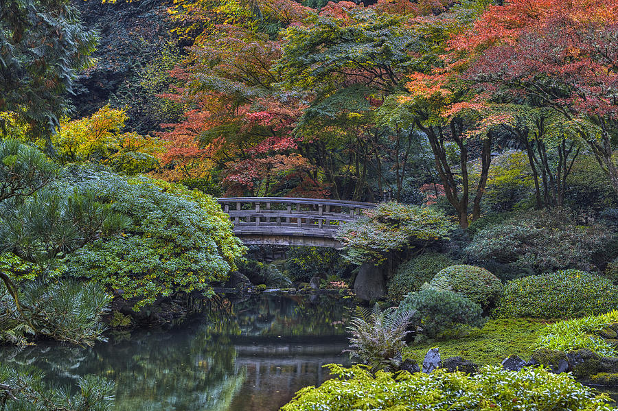 Portland Japanese Garden Photograph by Mark Kiver