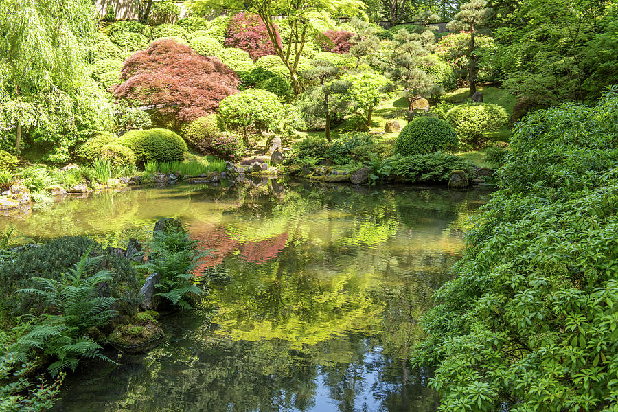 Portland Japanese Garden Photograph by Willie Harper