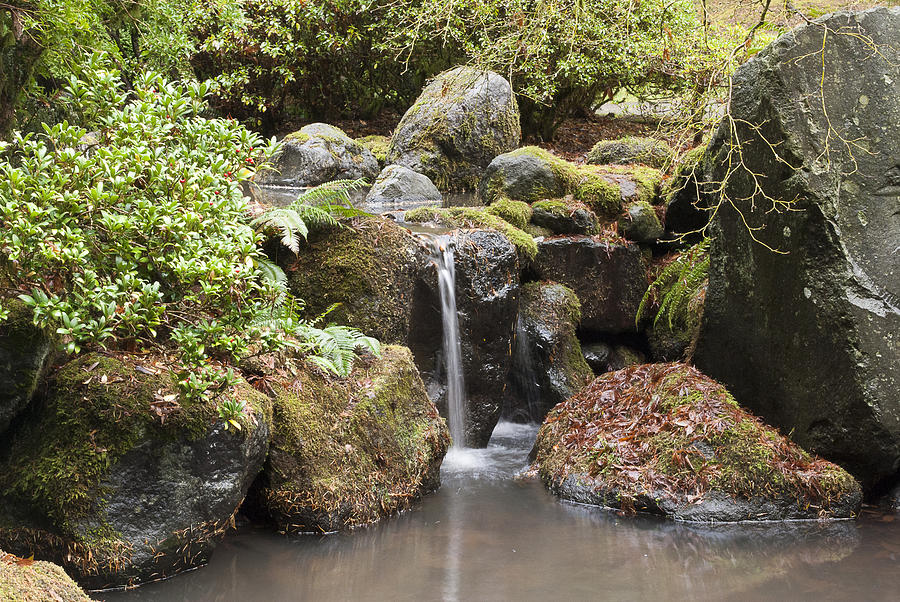 Portland Japanese Gardens Photograph by Christina Miller - Fine Art America