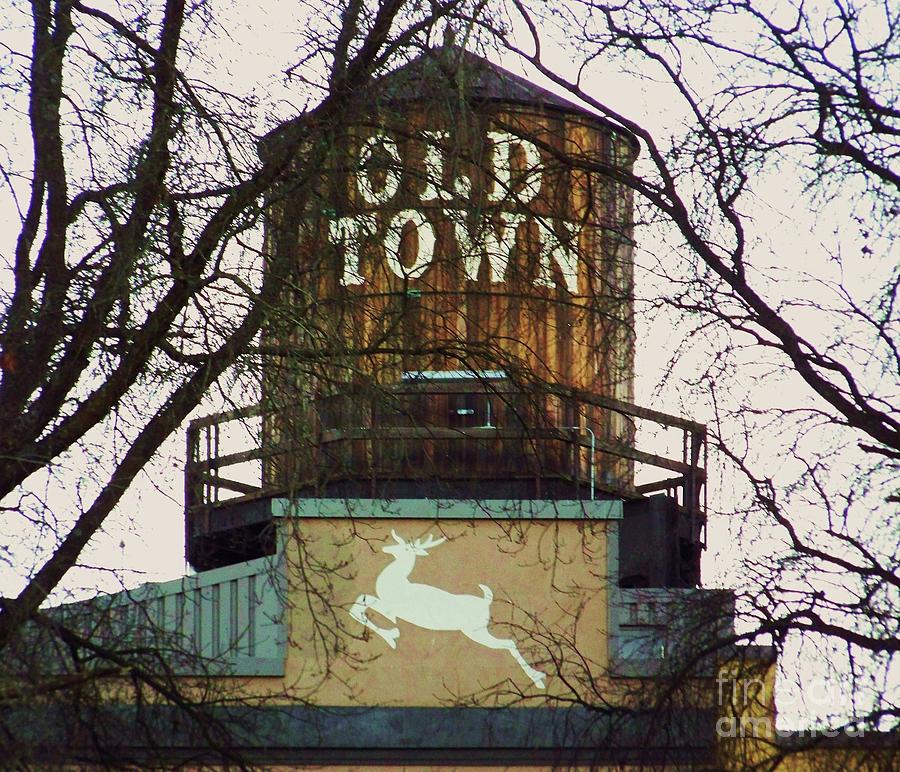Portland Old Town Water Tower Photograph by Julie Rauscher