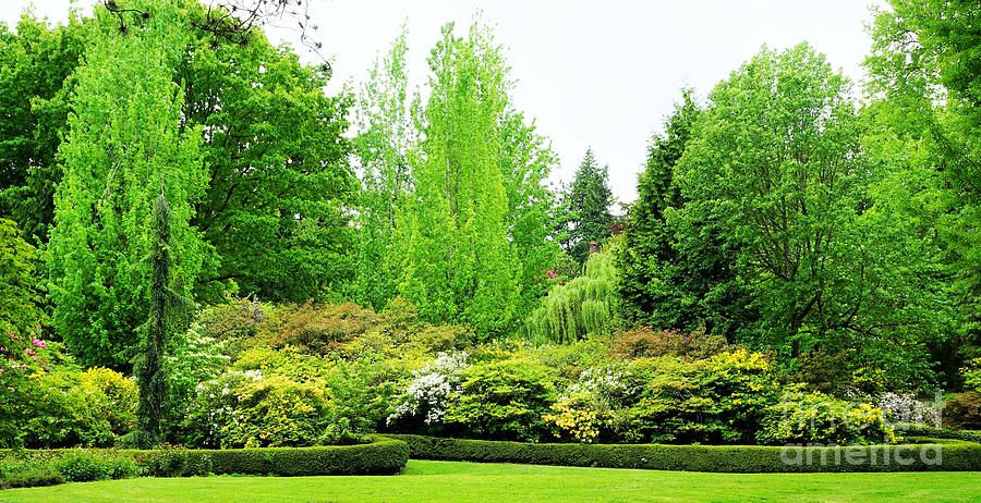 Portland Oregon garden Photograph by Merle Grenz