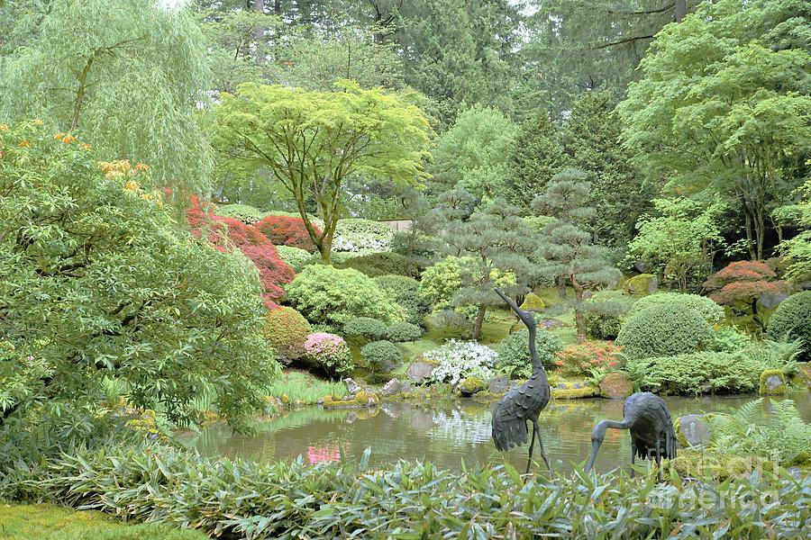 Portland Oregon Japanese Gardens 2 Photograph by Merle Grenz