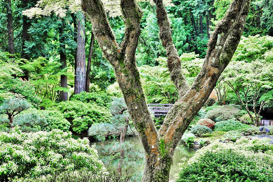 Portland Oregon Japanese Gardens 3 Photograph by Merle Grenz