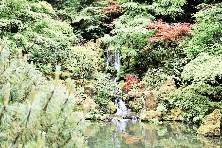 Portland Oregon Japanese Gardens Photograph by Merle Grenz