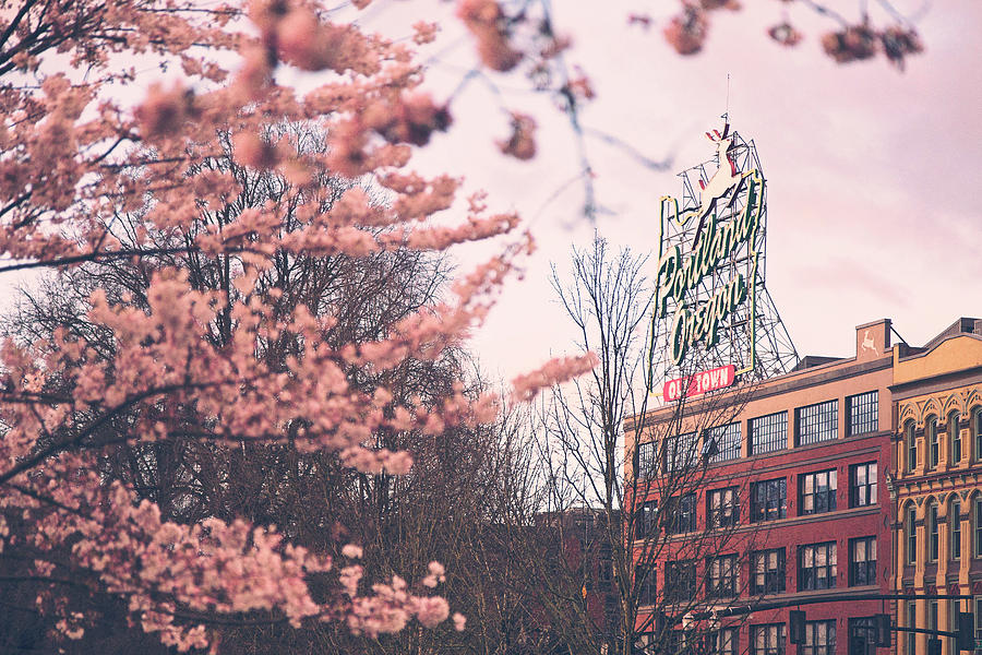 Portland Oregon Spring Photograph