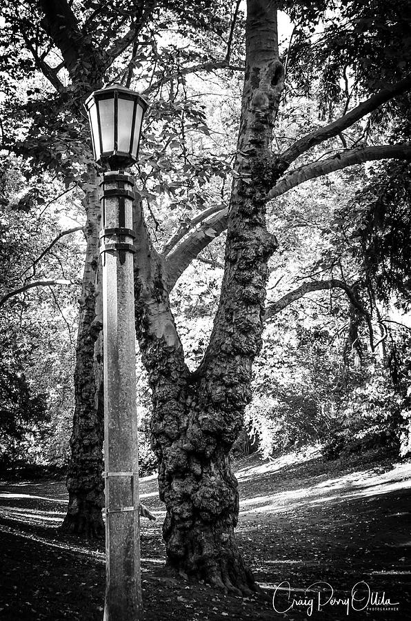 Portland Park Walk Photograph by Craig Perry-Ollila
