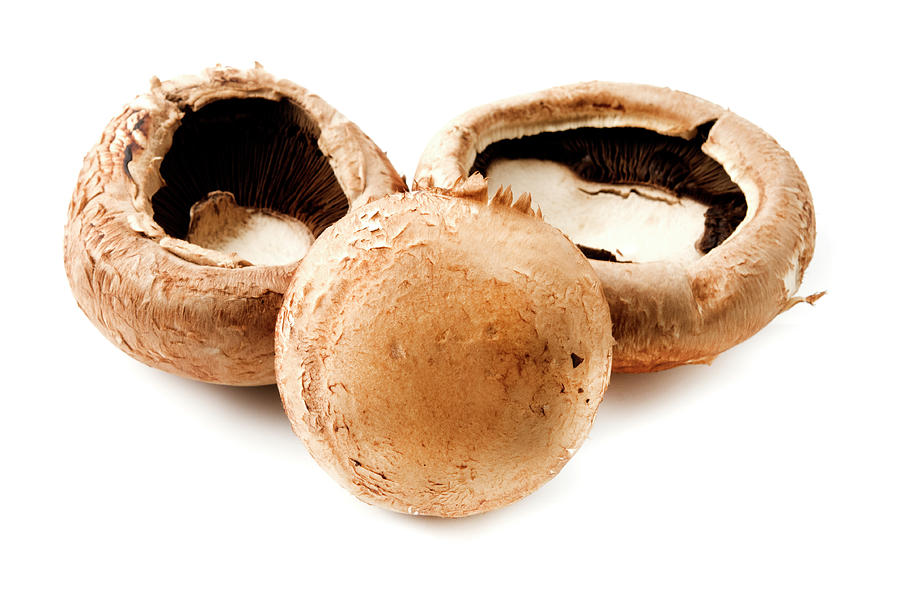 Mushroom Photograph - Portobello Mushrooms by Fabrizio Troiani