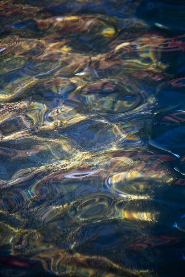 Portofino-Creatures of the Sea Photograph by Michael Zaccardi | Fine ...