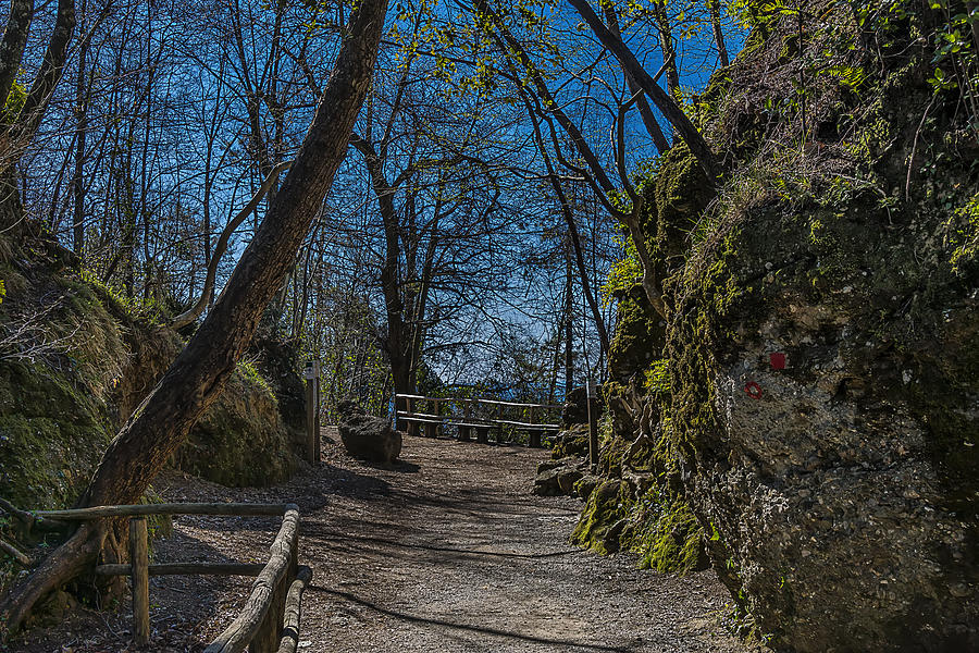 Portofino Mount Hiking Itinerary Pass Photograph by Enrico Pelos