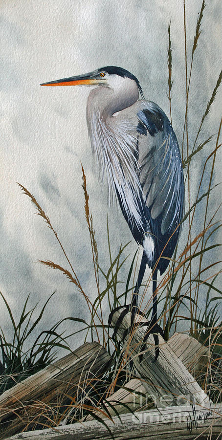 Heron Painting - Portrait in the Wild by James Williamson