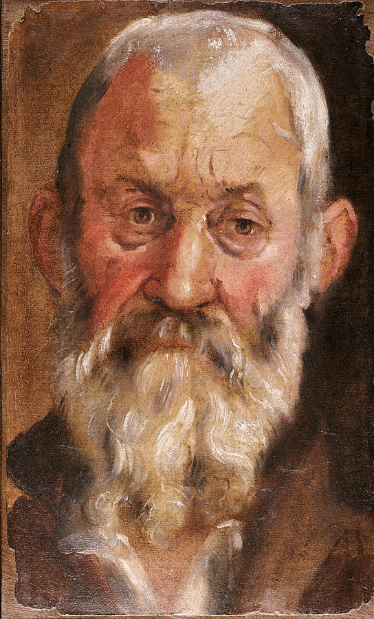Portrait of a bearded man Painting by Annibale Carracci