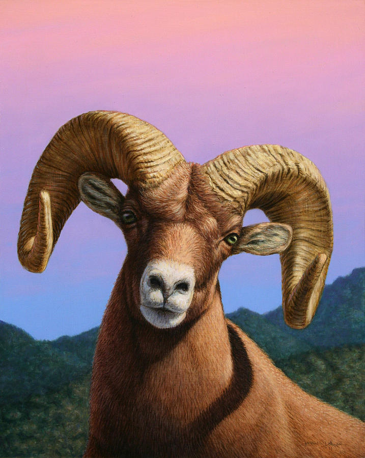 Portrait of a Bighorn Painting by James W Johnson