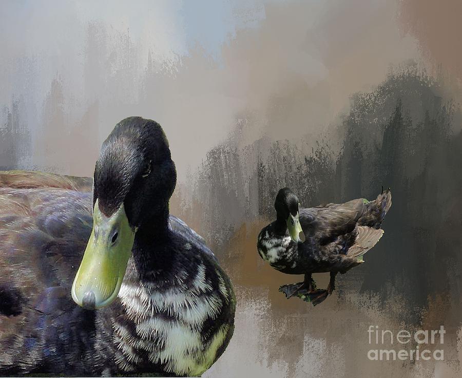 Portrait of a Black Duck in Winter Photograph by Janette Boyd