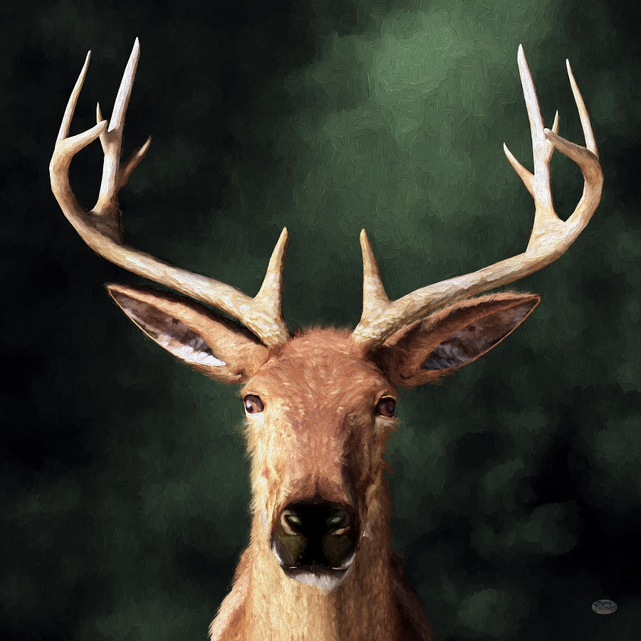 Portrait of a Buck Digital Art by Daniel Eskridge