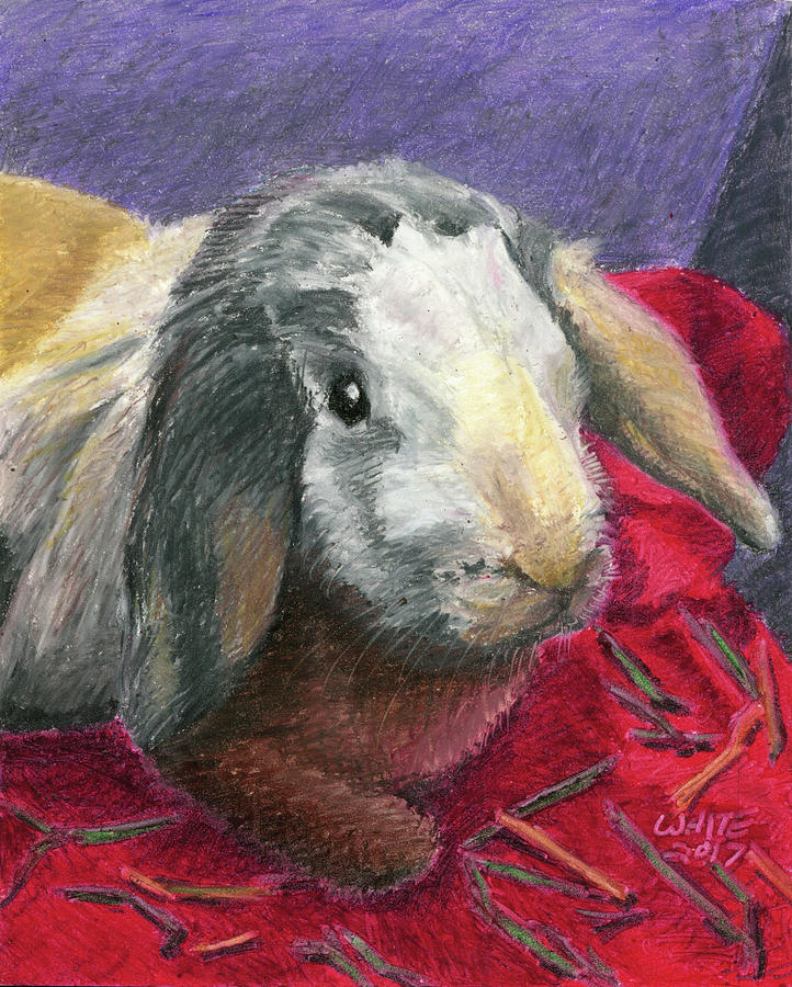 Portrait of A Bunny by Dominic White Portrait of A Bunny by Dominic White