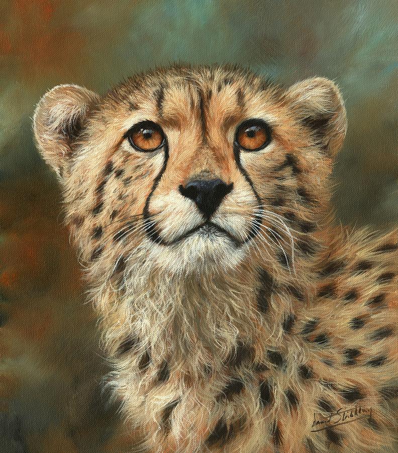 Portrait Of A Cheetah Painting by David Stribbling