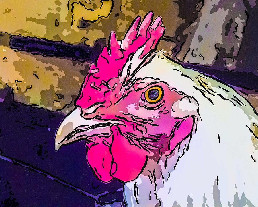 Portrait of a Chicken as a Young Man Photograph by Susan Eileen Evans