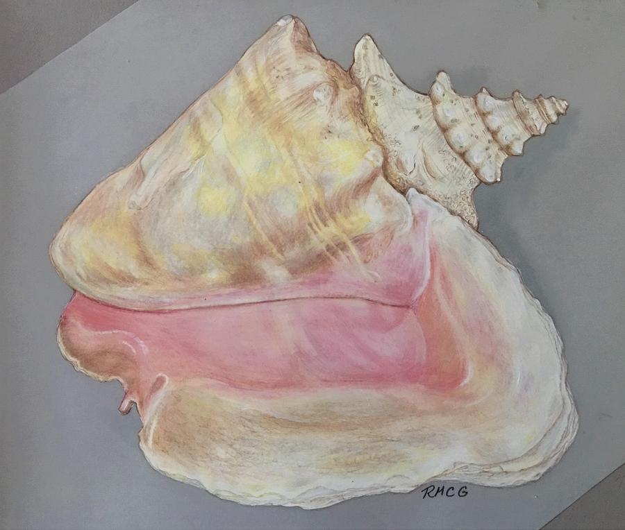Portrait of a Conch by Rose Mary Gates Portrait of a Conch by Rose Mary Gates
