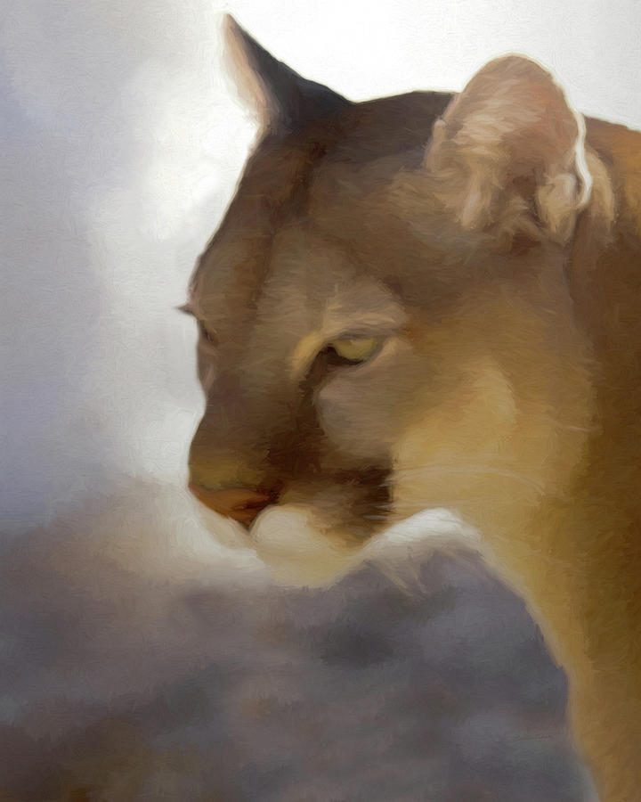 Portrait of a Cougar Digital Art by Ernest Echols