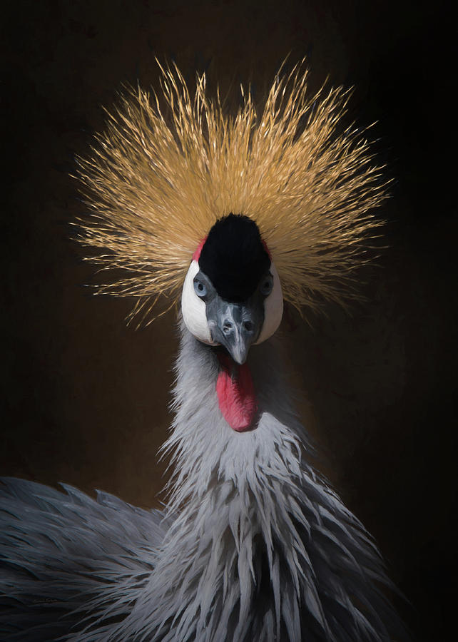 Portrait of a Crowned Crane 2 Digital Art by Ernest Echols