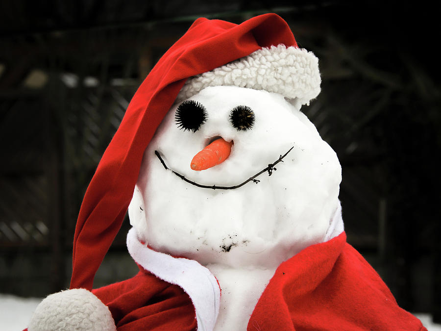 funny snow man hats