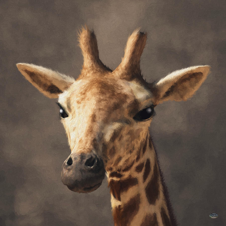 Portrait of a Giraffe  Digital Art by Daniel Eskridge
