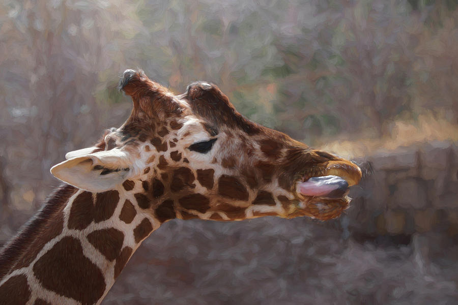 Portrait of a Giraffe Digital Art by Ernest Echols