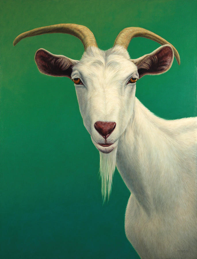 Portrait of a Goat Painting by James W Johnson