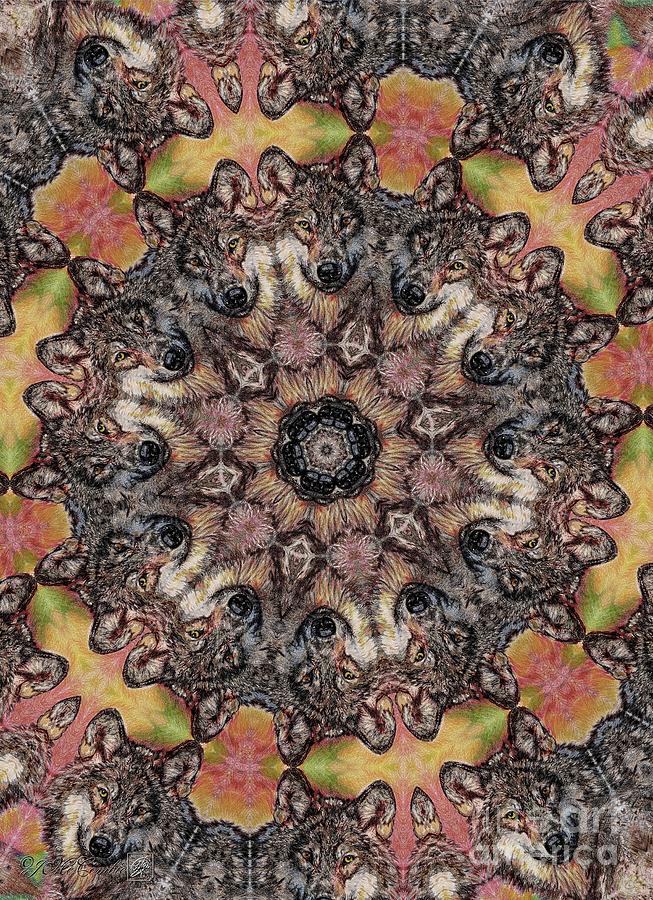 Portrait of a Gray Wolf Kaleidoscope Mixed Media by J McCombie