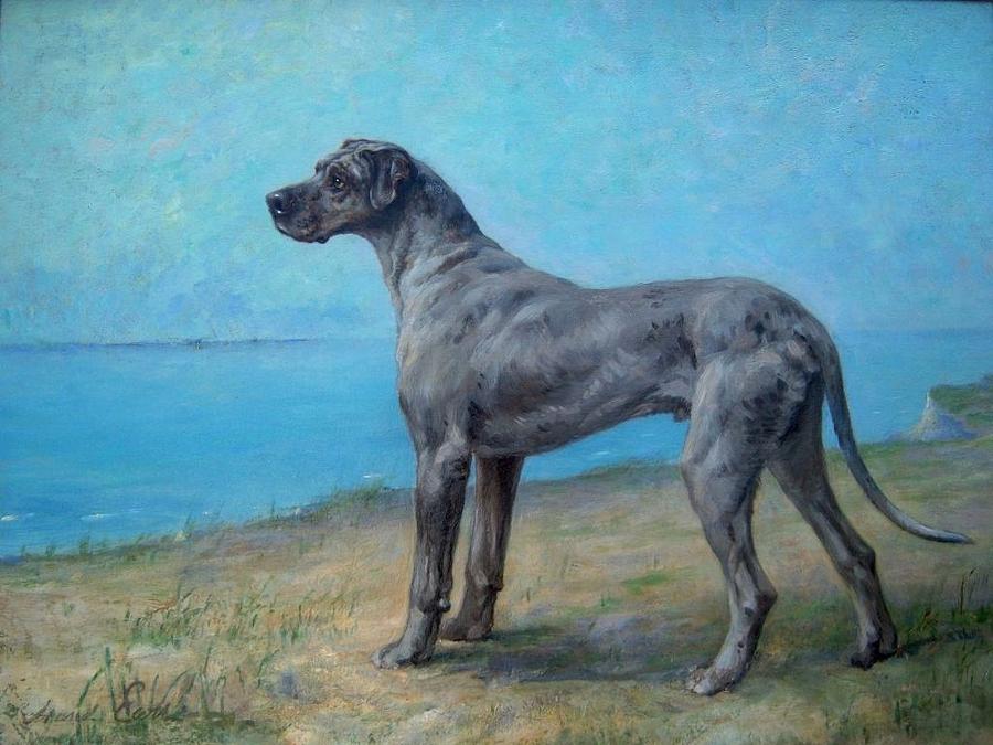 Portrait of a Great Dane Painting by Celestial Images