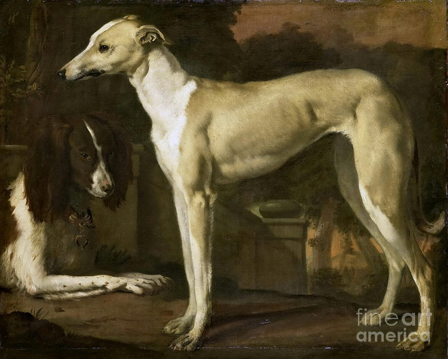 Portrait of a greyhound and a spaniel Painting by MotionAge Designs