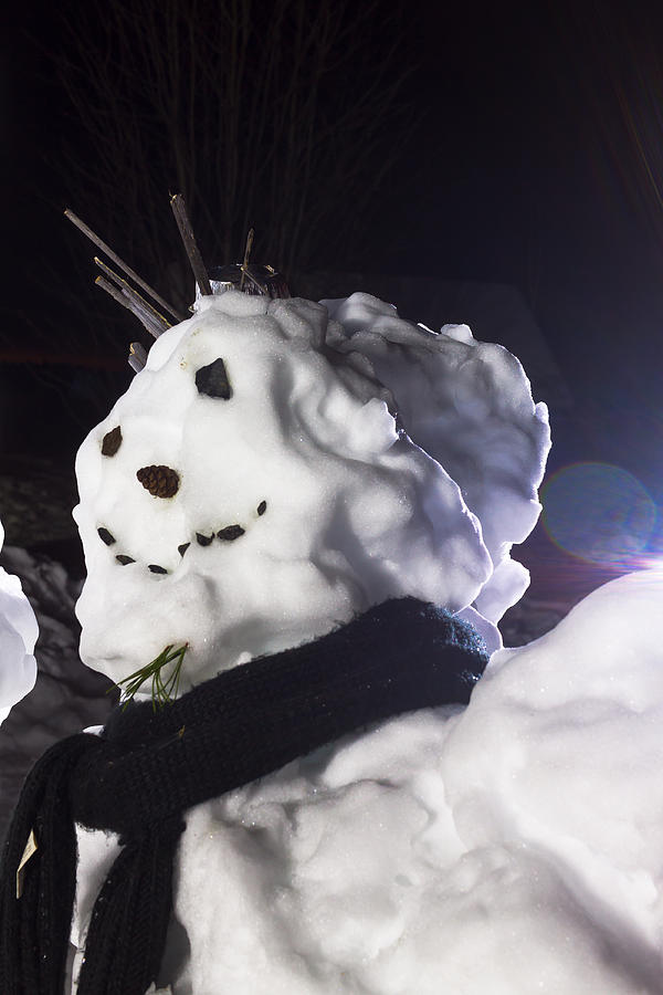 Winter Photograph - Portrait Of A Hipster Snowman by Jukka Heinovirta