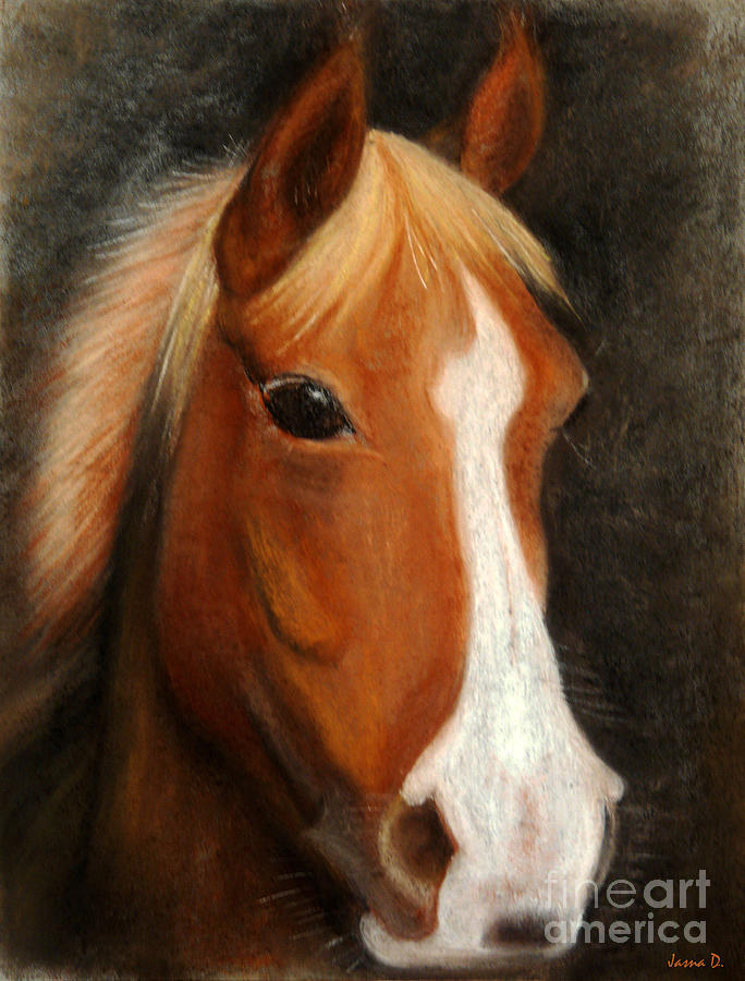 Portrait Of A Horse Painting by Jasna Dragun