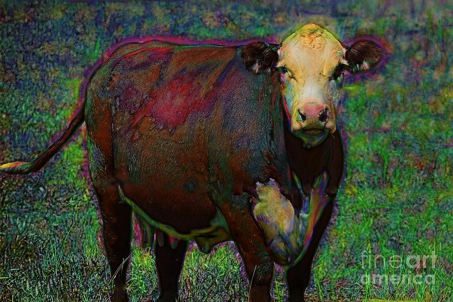 Portrait of a Jersey Cow  Photograph by Becky Kurth