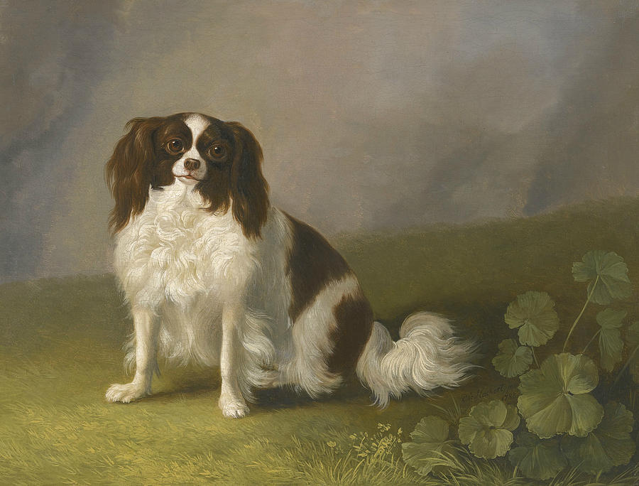 Portrait of a King Charles Spaniel in a Landscape Painting by Jacob Philipp Hackert