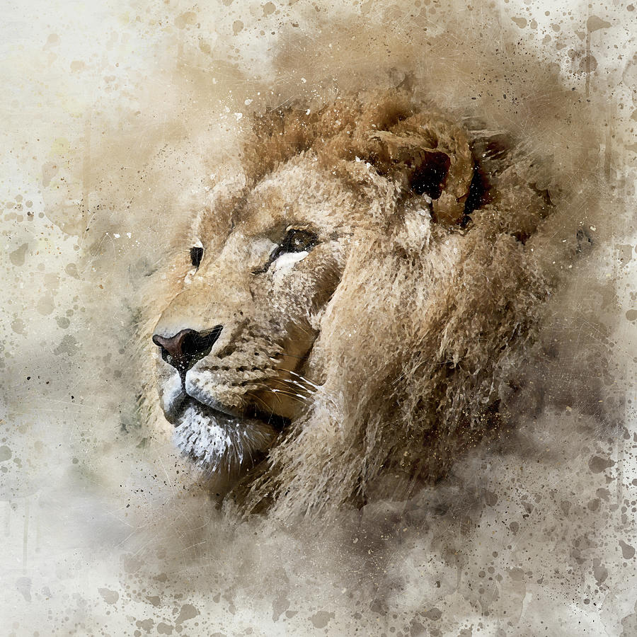 Portrait Of A Lion Mixed Media By Diana Van Tankeren