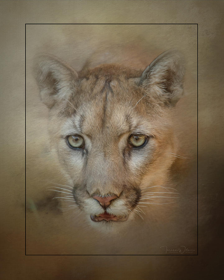 Portrait of a Mountain Lion Mixed Media by Teresa Wilson