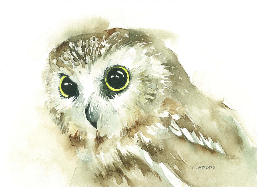Northern Saw-whet Owl Painting - Portrait of a Northern Saw-Whet Owl by Corinne Aelbers