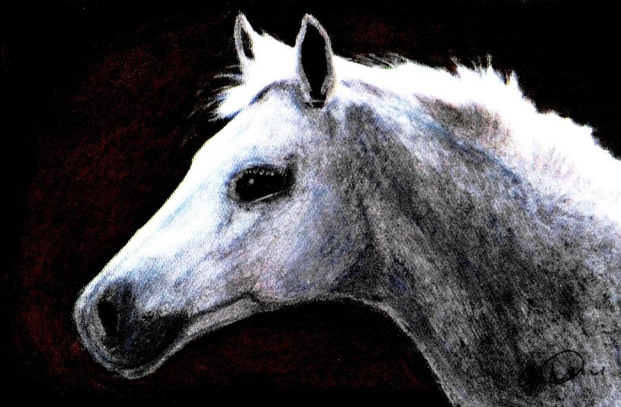Portrait Of A Pale Horse Drawing by Angela Davies