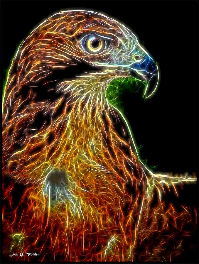 Portrait of a Phoenix Painting by Jon Volden
