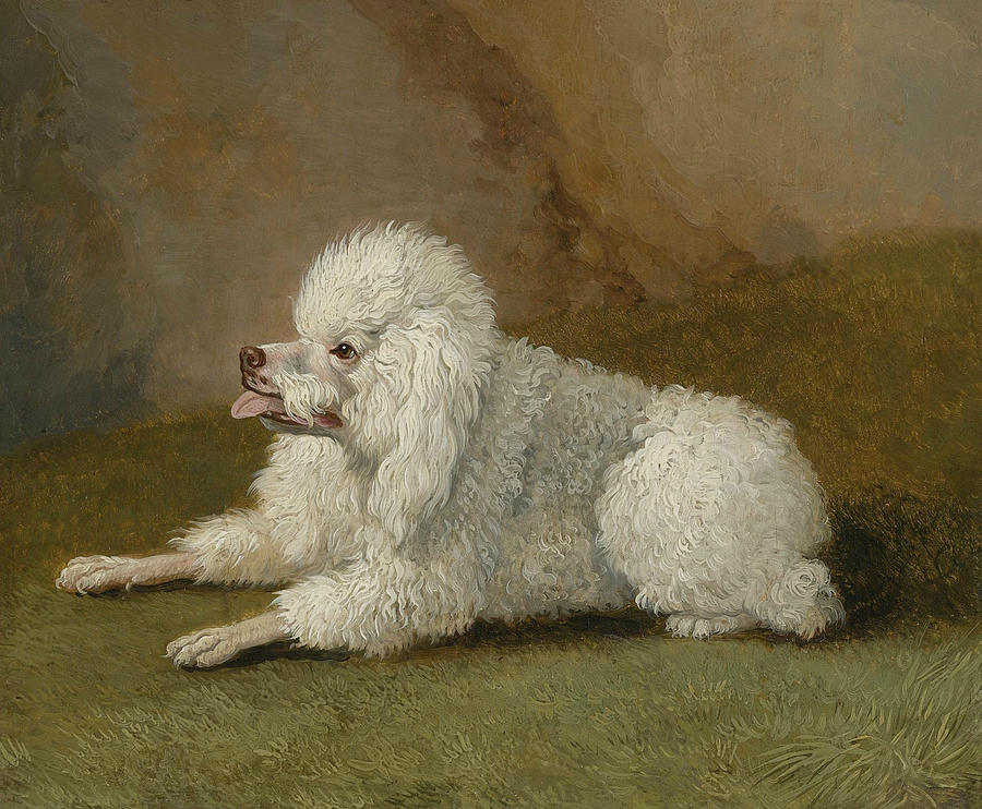 Portrait of a Poodle Painting by Jacob Philipp Hackert