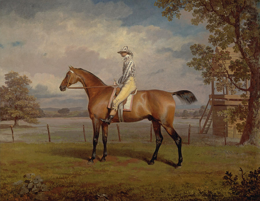 Portrait of a Racehorse Possibly Disguise the Property of the Duke of Hamilton with Jockey Up Painting by George Garrard