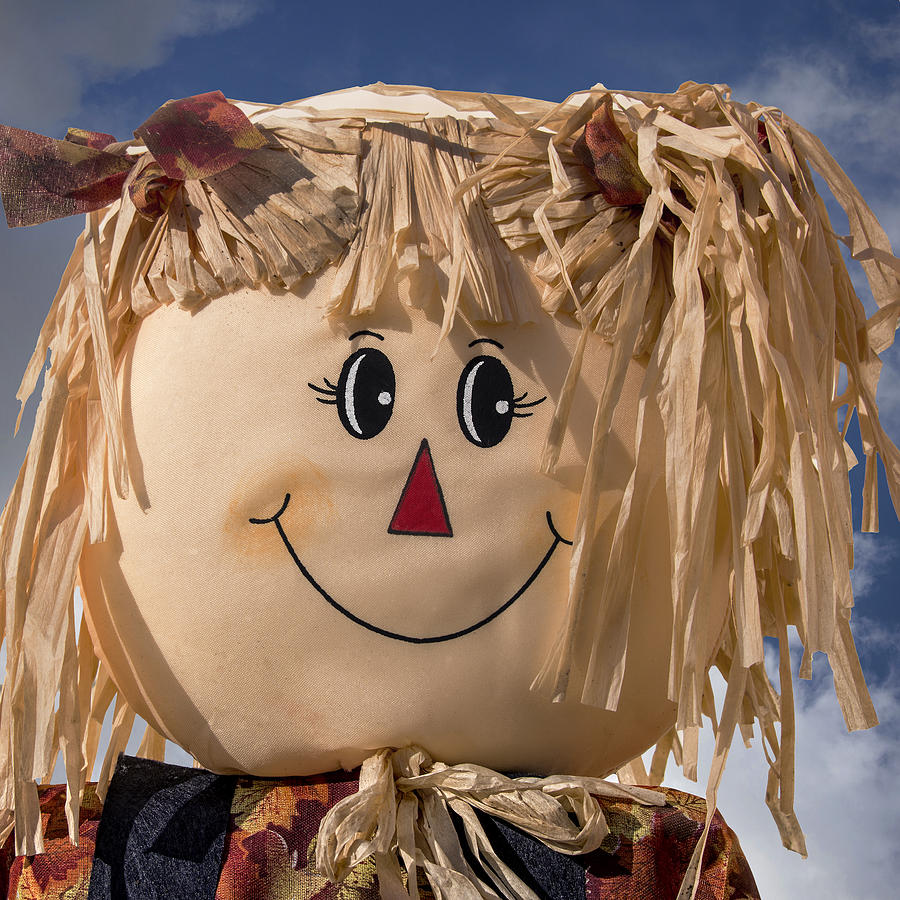 Portrait of a Rag Doll Scarecrow Photograph by Phil Cardamone