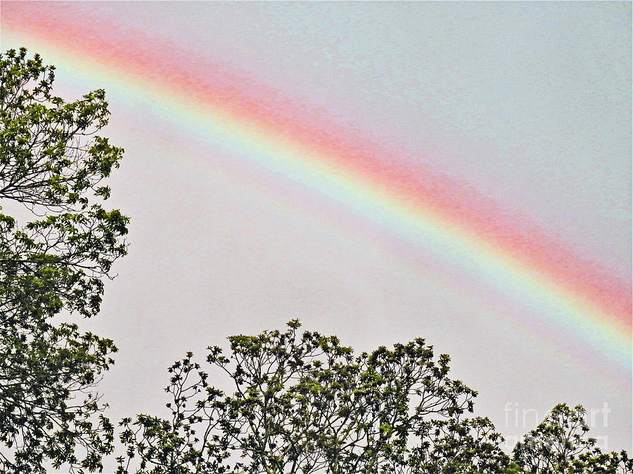 Portrait Of A Rainbow Digital Art by Jan Gelders