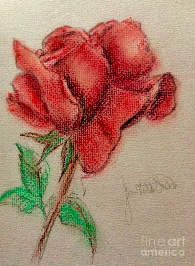 Portrait Of A Rose Pastel by Joan-Violet Stretch
