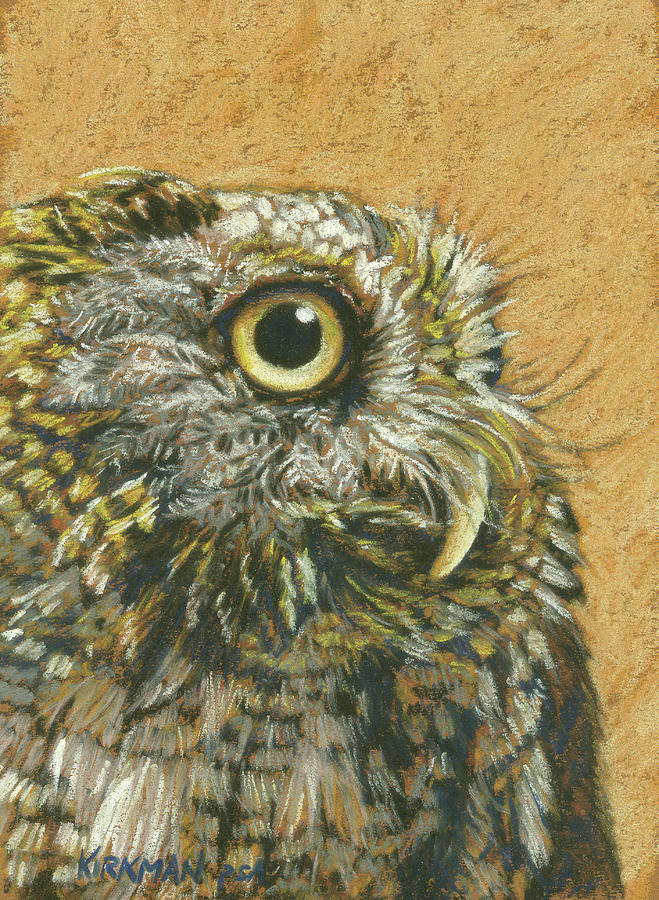 Owl Pastel - Portrait of a Screech Owl by Rita Kirkman