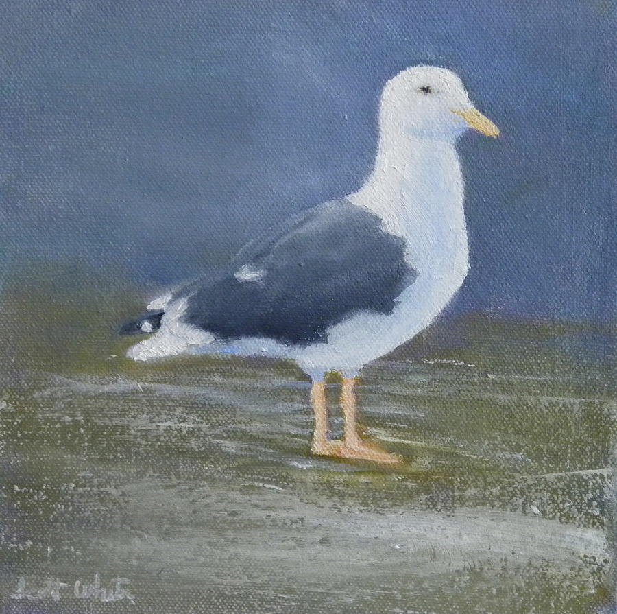 Portrait Of A Seagull Painting by Scott W White