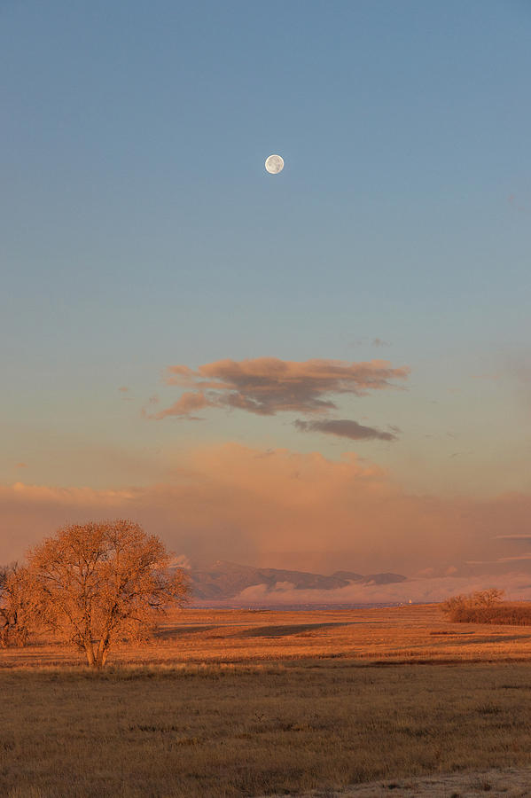 Portrait of a Setting Moon at Sunrise Photograph by Tony Hake