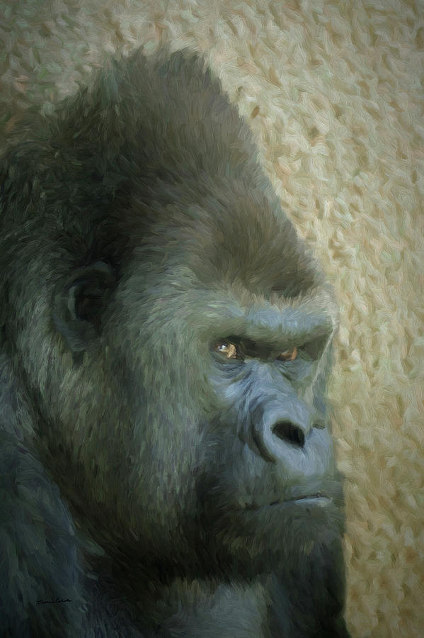 Portrait of a Silverback Gorilla Digital Art by Ernest Echols