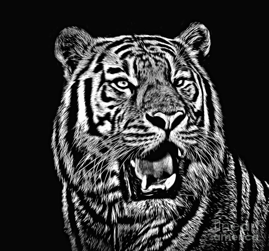 Portrait of a Tiger black and white Photograph by Jim Fitzpatrick